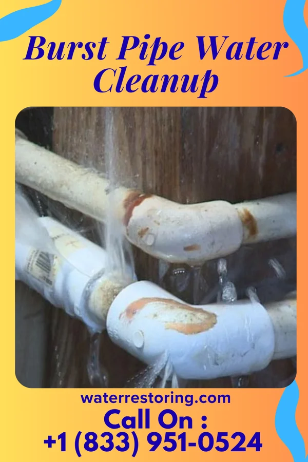 Burst Pipe Water Cleanup in Donalds, SC