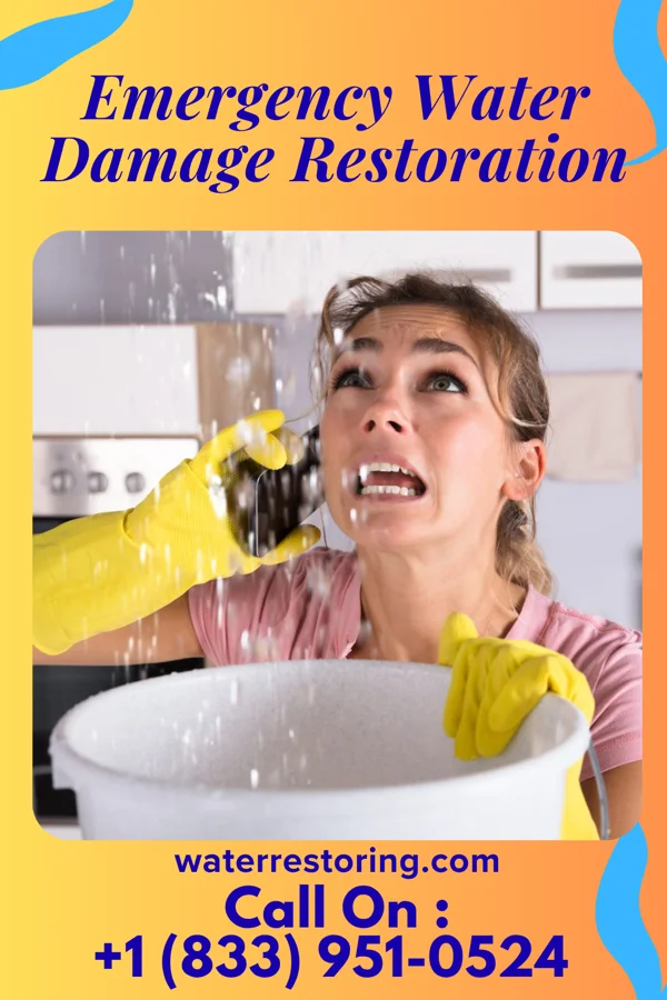 Emergency Water Damage Restoration in Donalds, SC