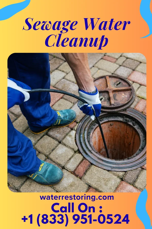 Sewage Water Cleanup in Donalds, SC